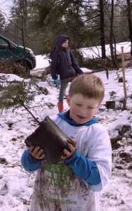 Plant for the Planet